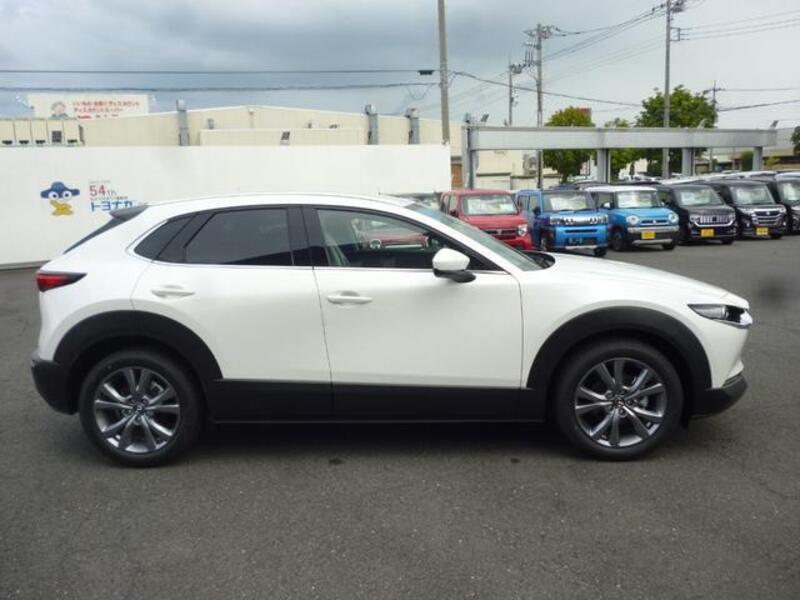 CX-30