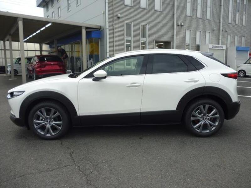 CX-30