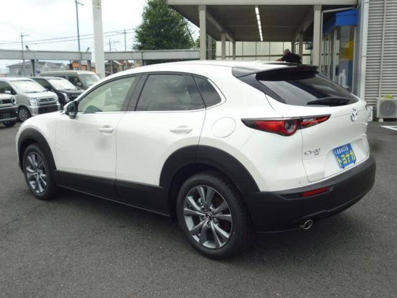 CX-30