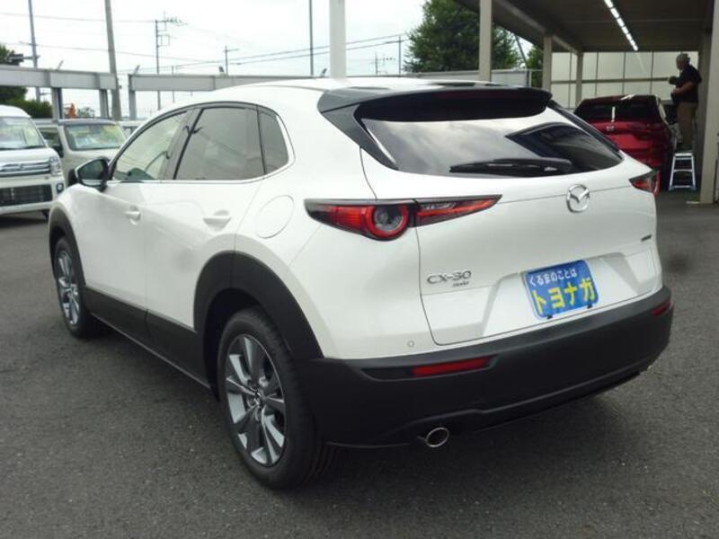 CX-30