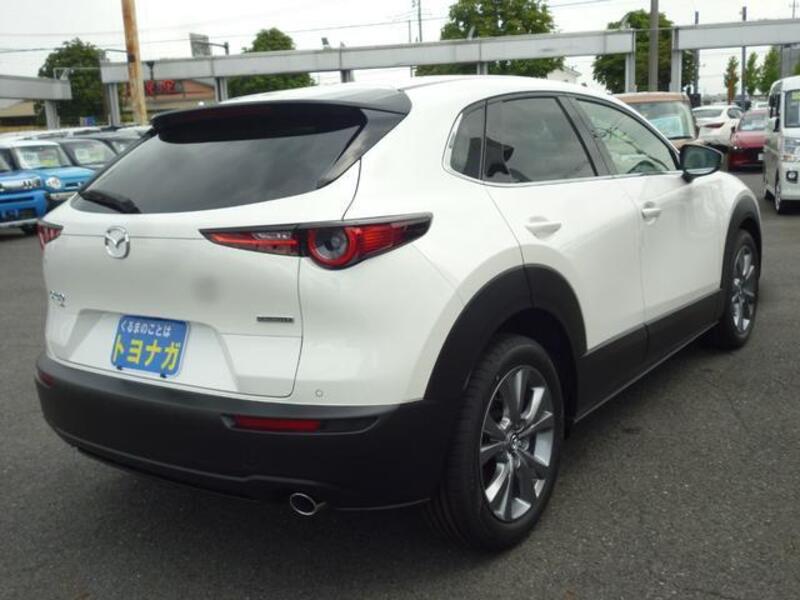 CX-30