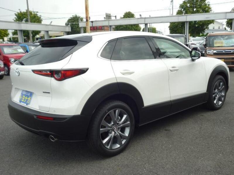 CX-30