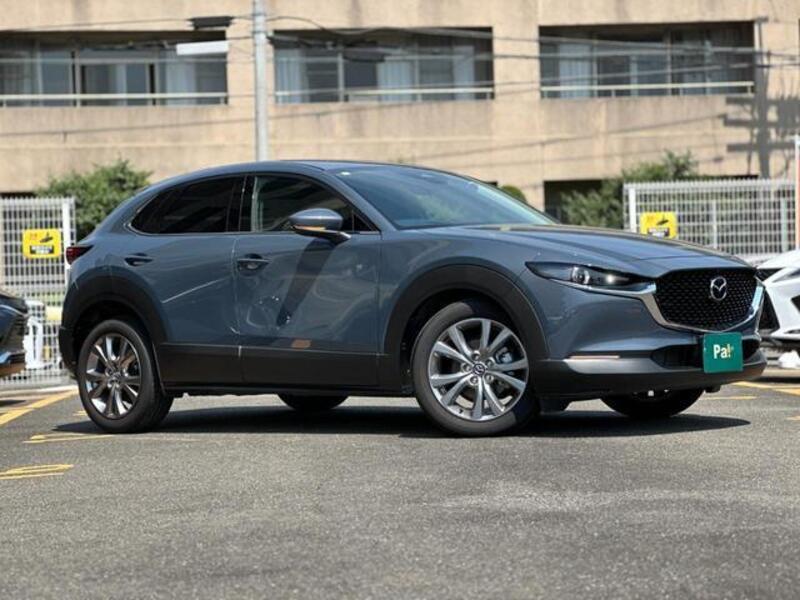 CX-30