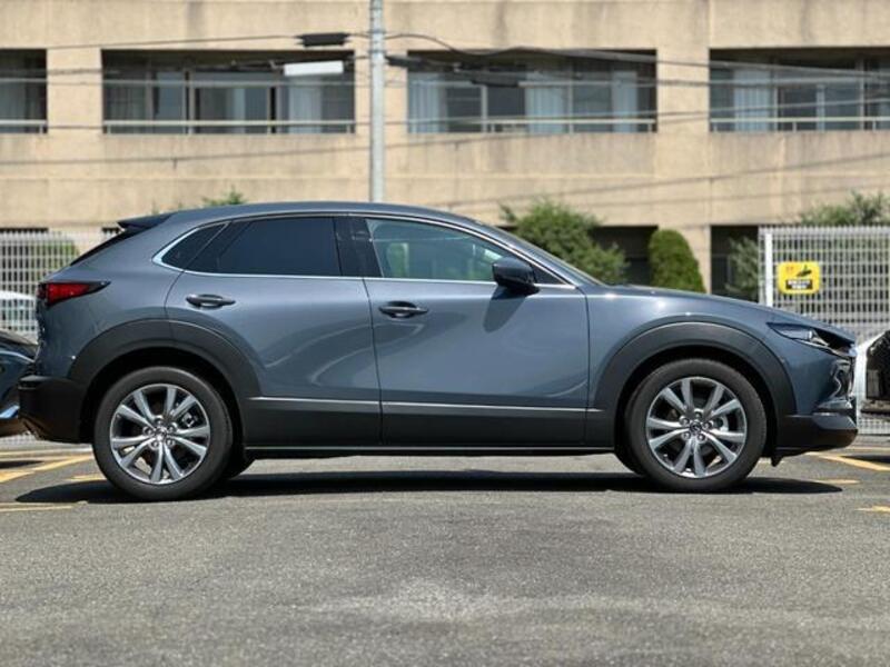 CX-30