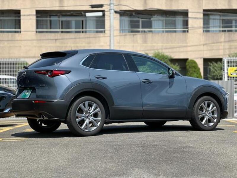 CX-30