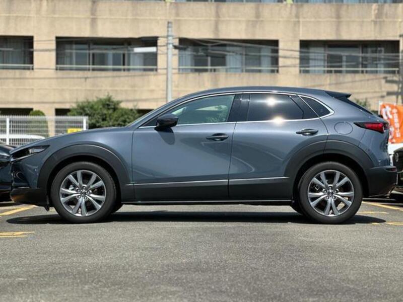 CX-30