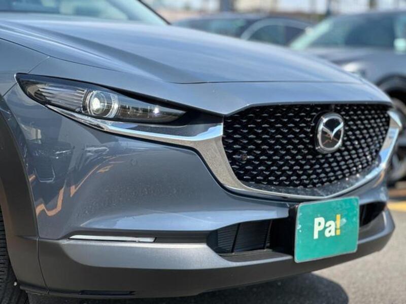 CX-30
