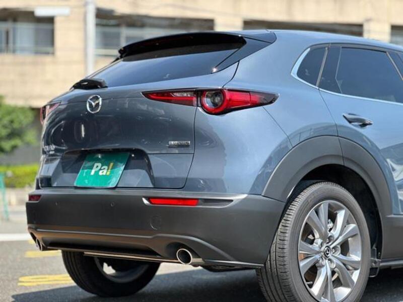 CX-30
