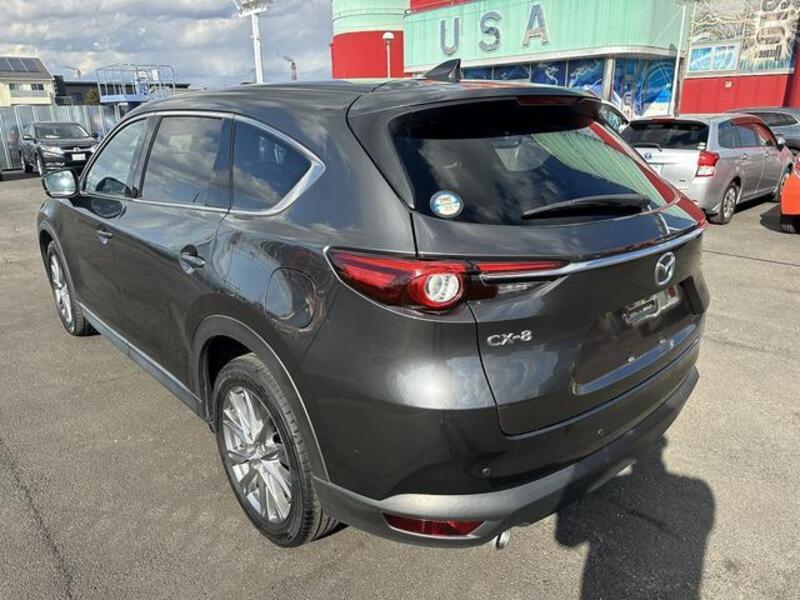 CX-8