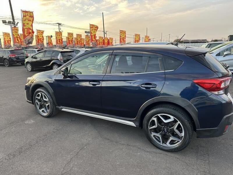XV