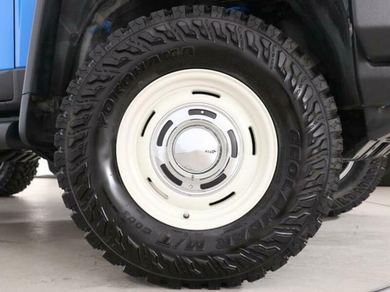 FJ CRUISER