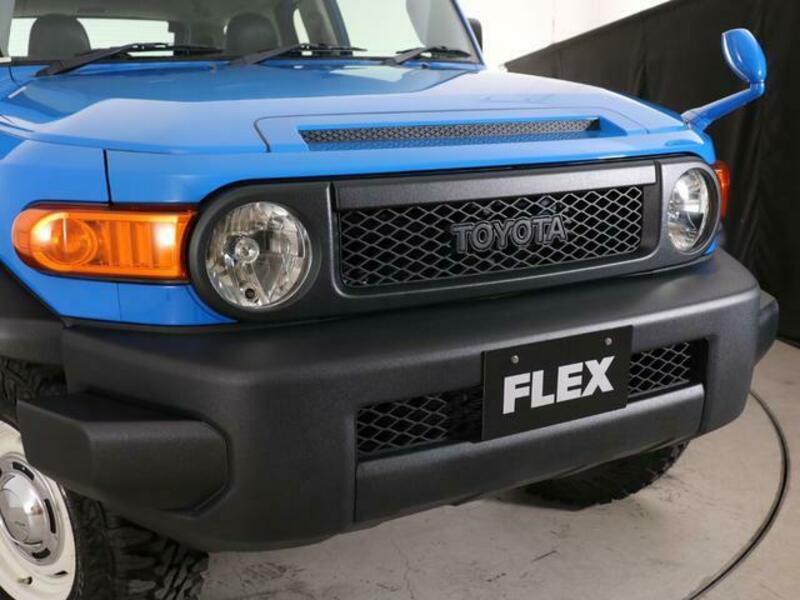 FJ CRUISER
