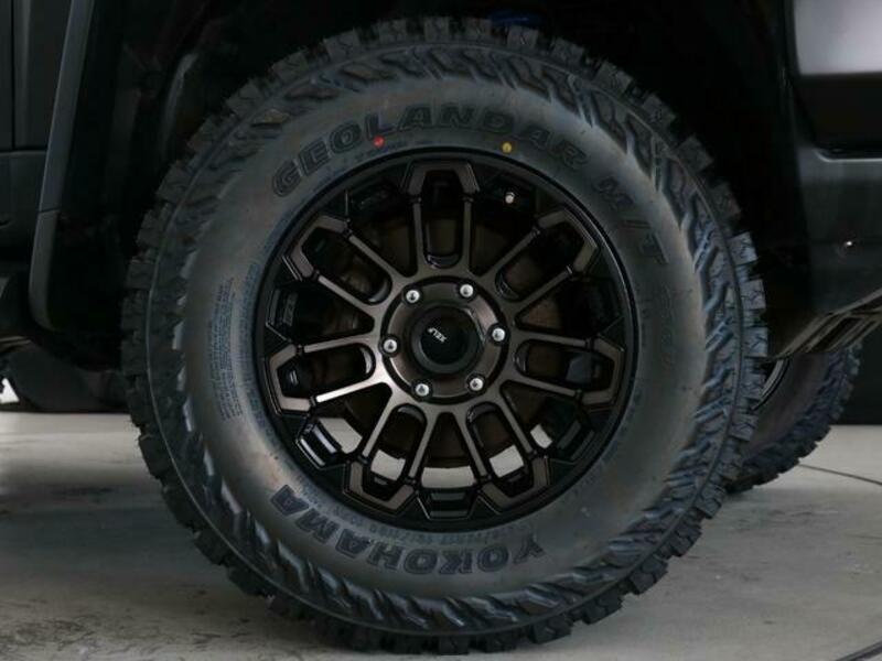 FJ CRUISER