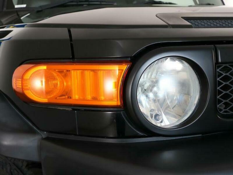 FJ CRUISER