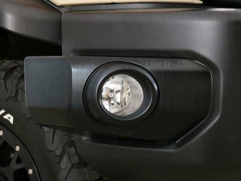 FJ CRUISER