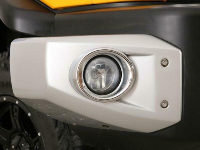 FJ CRUISER