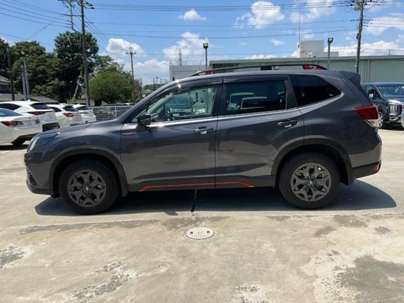 FORESTER