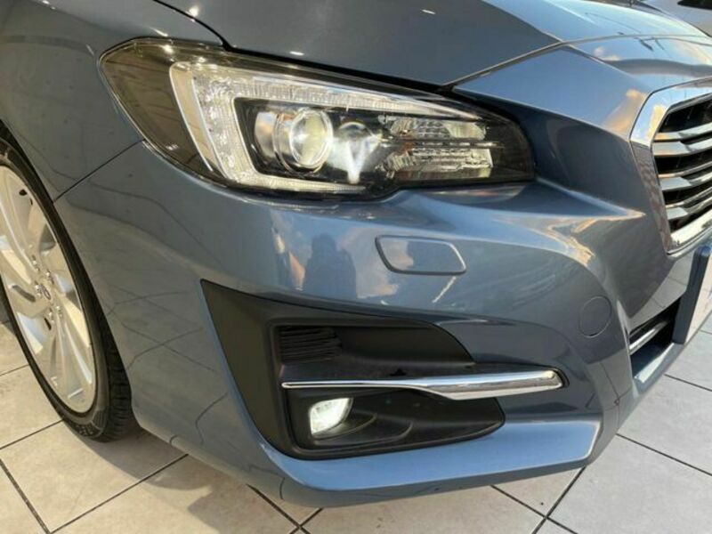 LEVORG