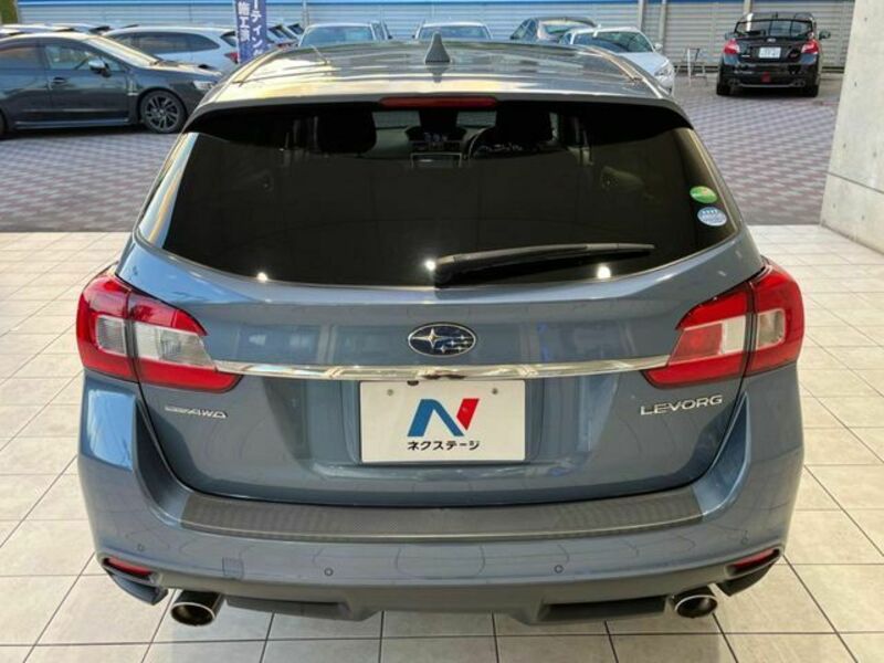 LEVORG