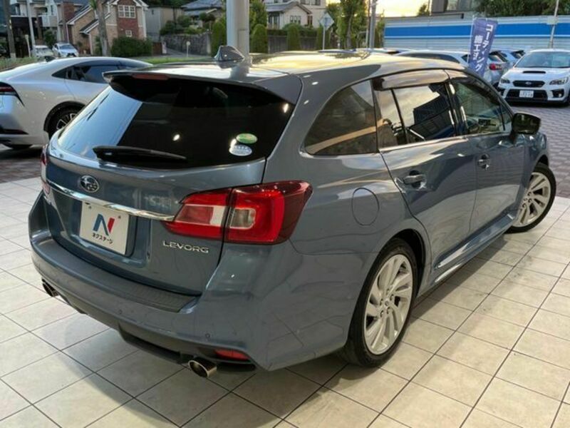LEVORG