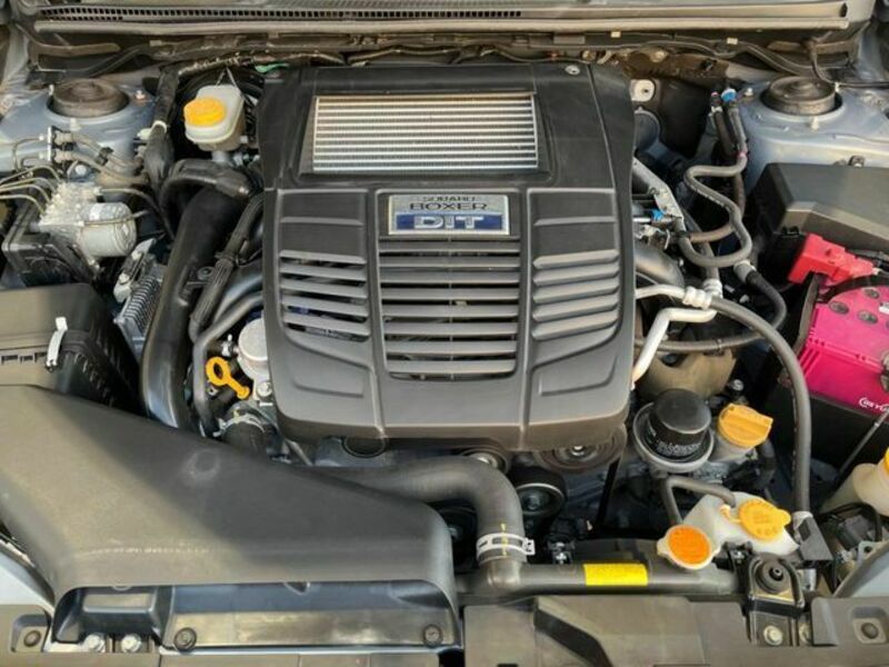 LEVORG