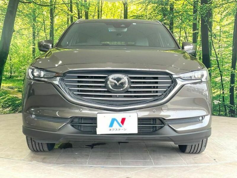 CX-8