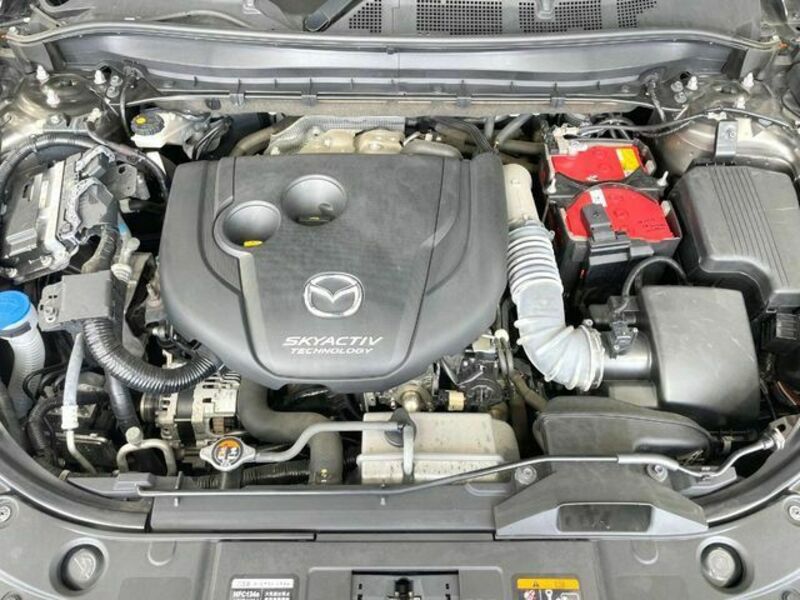 CX-8
