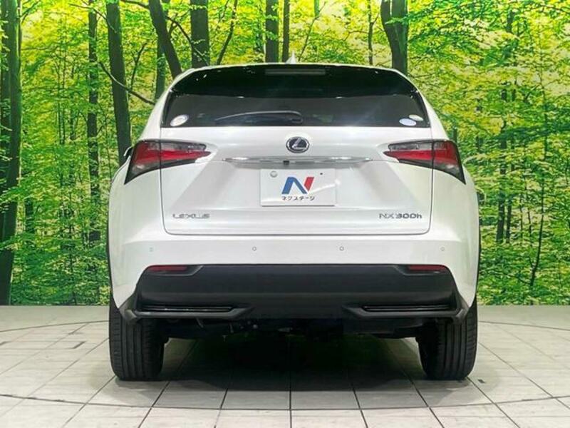 NX