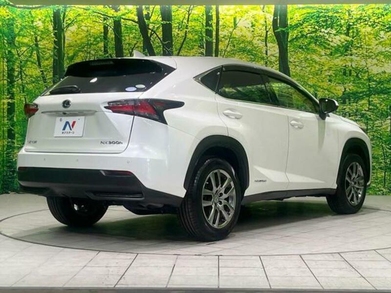 NX