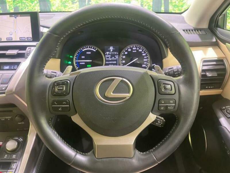 NX