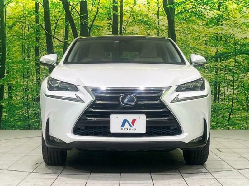 NX