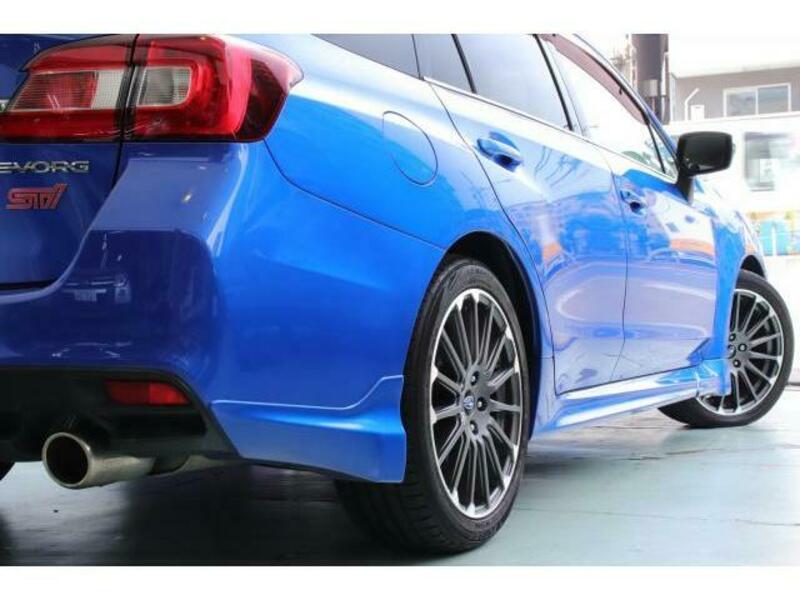 LEVORG