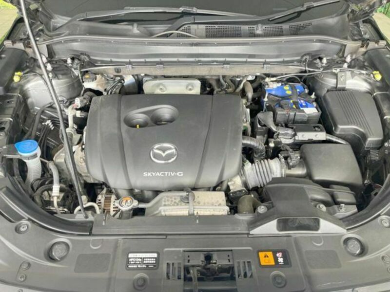 CX-8