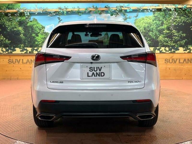 NX