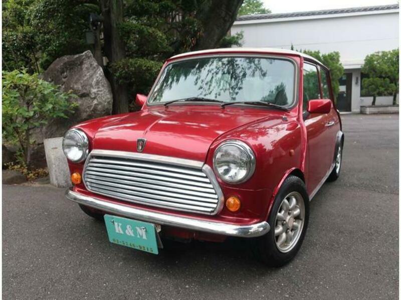 ROVER MINI