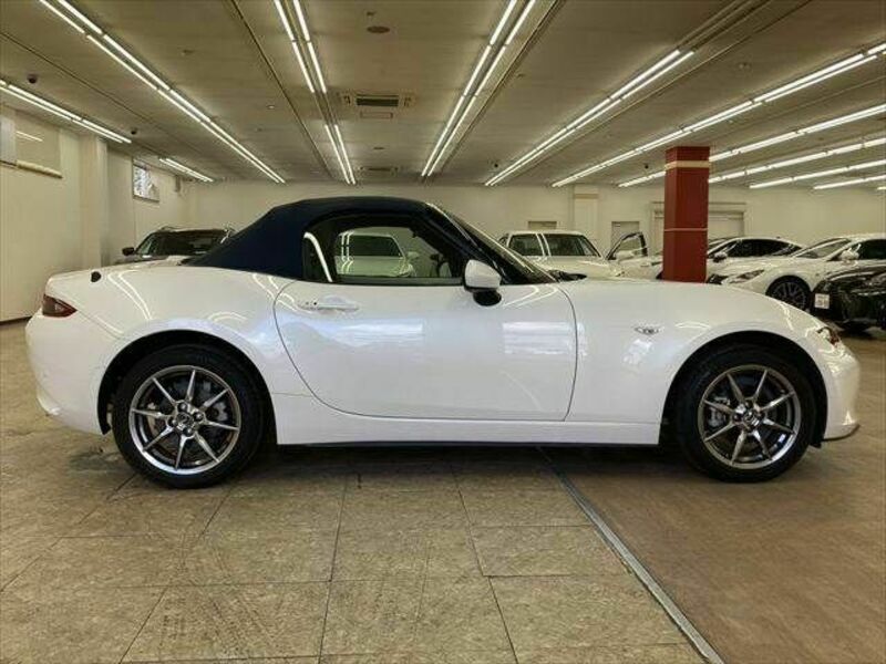 ROADSTER