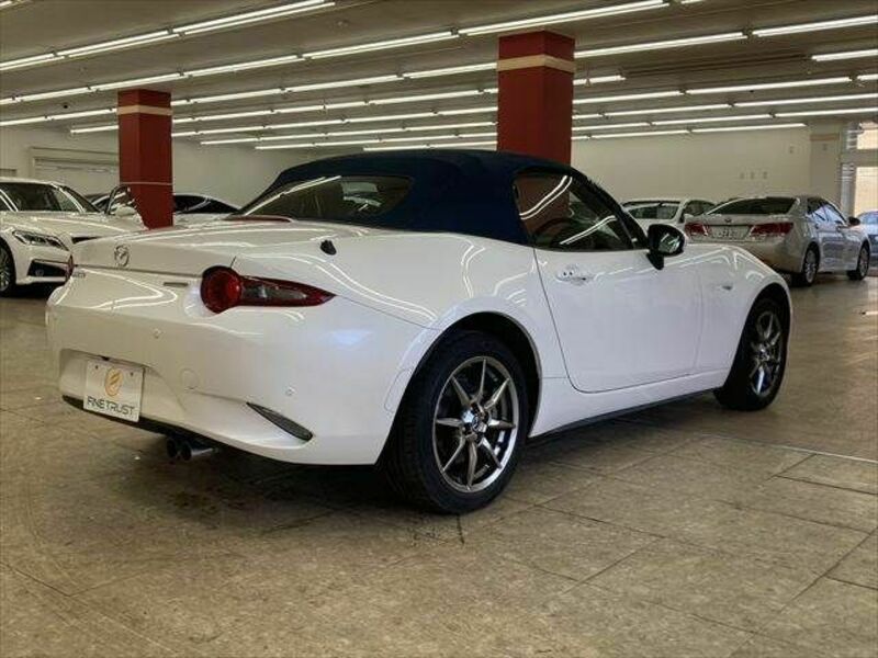 ROADSTER