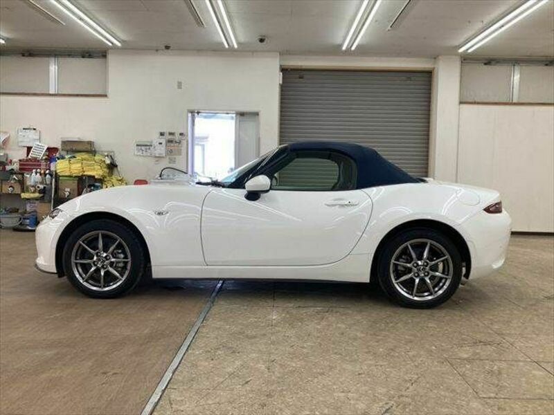 ROADSTER