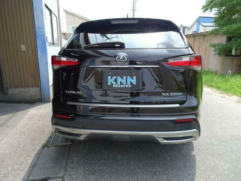NX