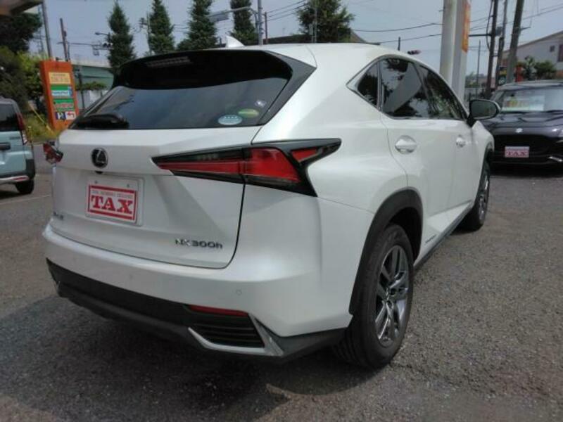 NX