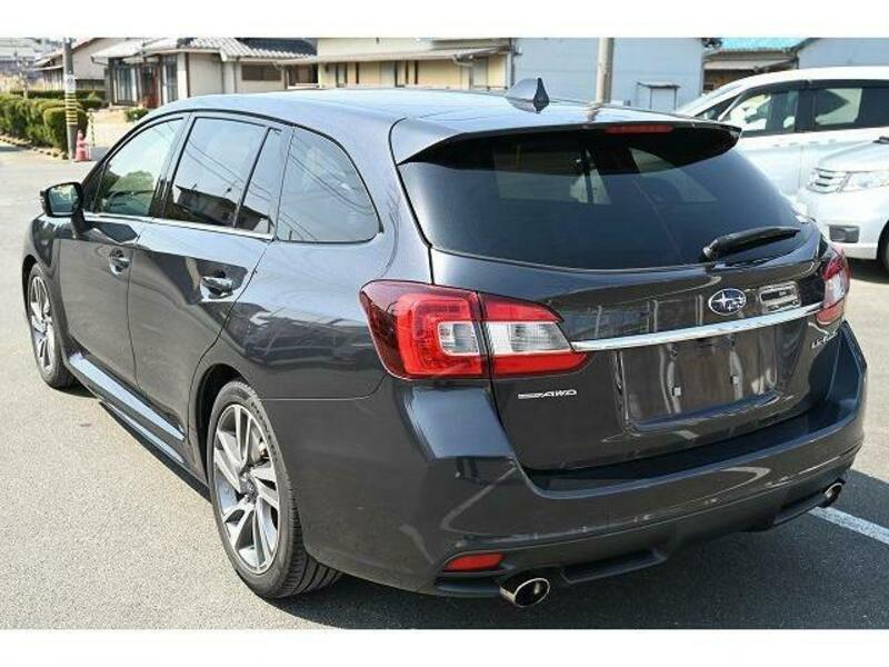 LEVORG