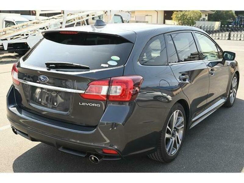 LEVORG