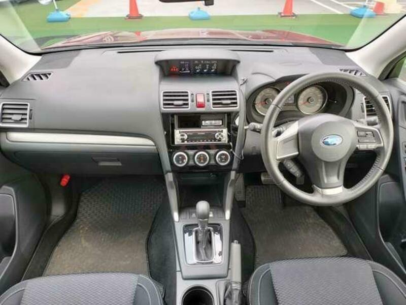 FORESTER