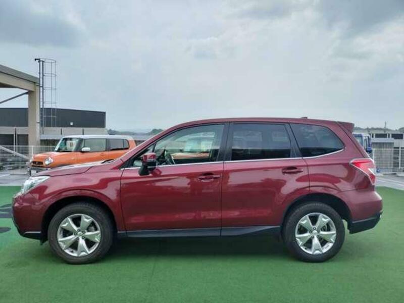 FORESTER