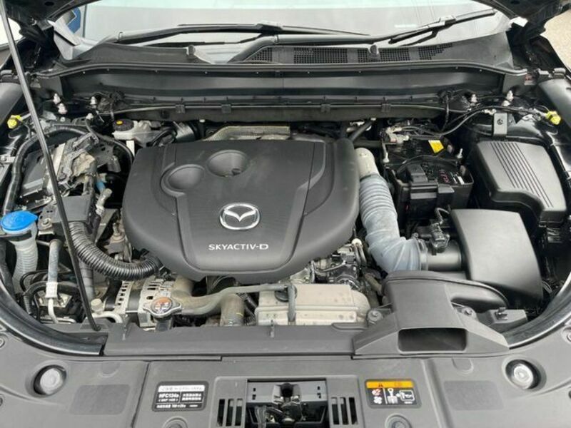 CX-8