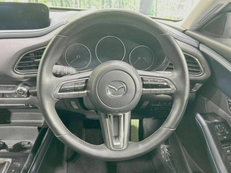 CX-30