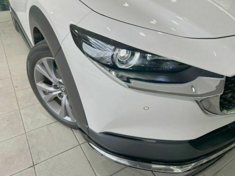 CX-30