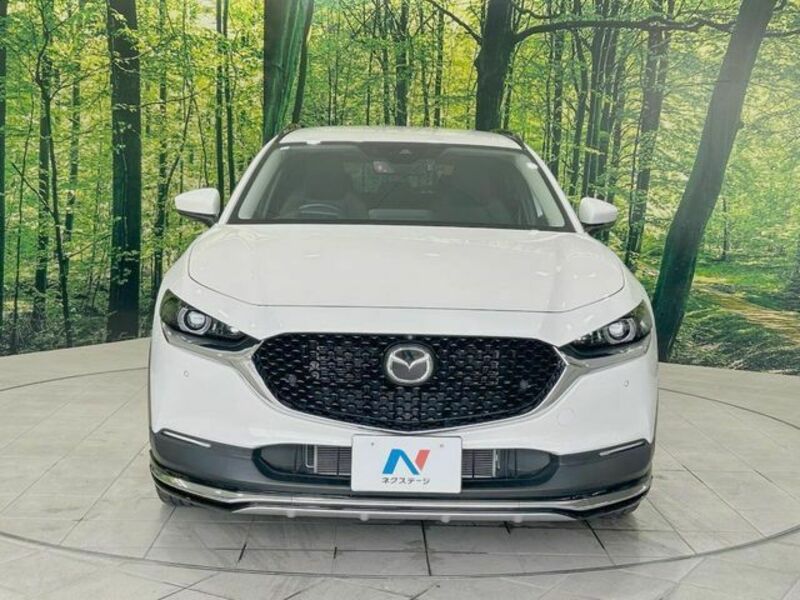 CX-30