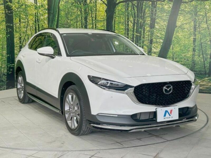 CX-30