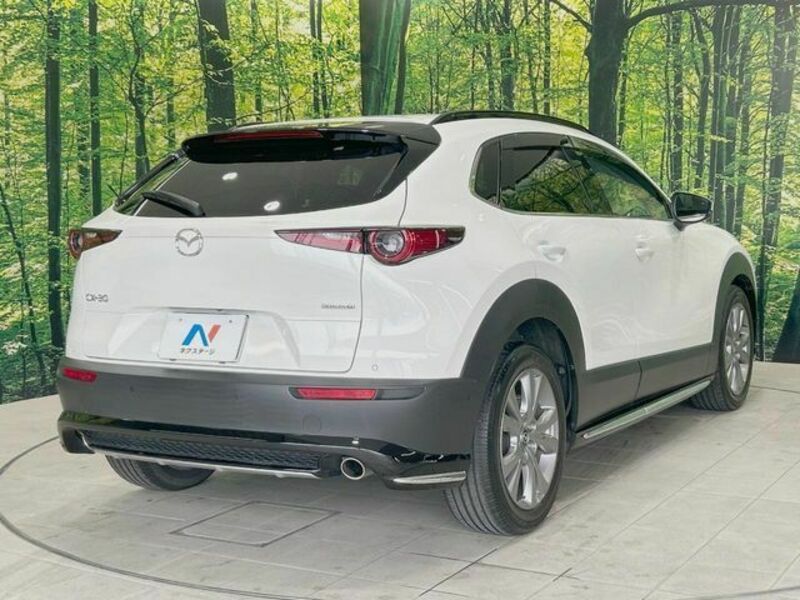CX-30